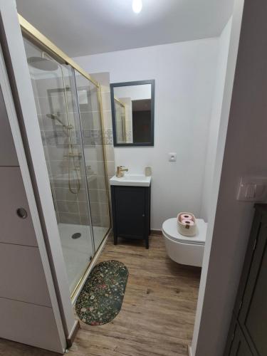a bathroom with a shower and a toilet and a sink at Studio Les Sapins in Chapois