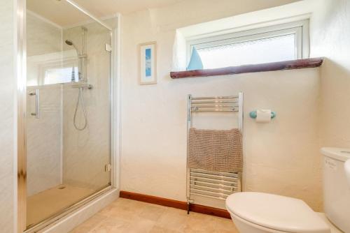 a bathroom with a shower and a toilet at 1 Bed in Padstow oc-p00554 in Saint Merryn