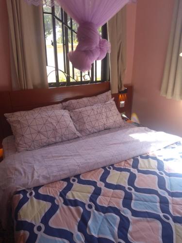 a bed with a purple teddy bear hanging from a window at Cae Cozy Home in Karatu