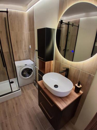a bathroom with a sink and a mirror at Umińskiego Spacious Apartment in Poznań