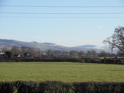 a field of green grass with mountains in the background at Granary at Tyddyn Isaf in Ruthin