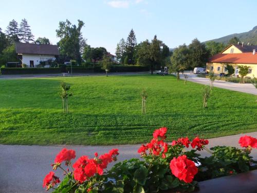 a park with red flowers and a field of grass at Gästehaus Riki Oberschmid in Steinbach am Attersee