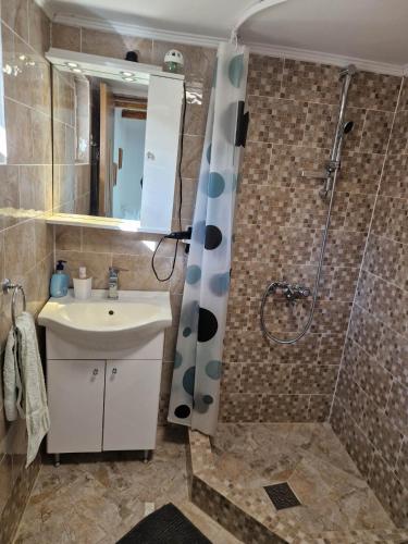 a bathroom with a sink and a shower at Casa Marinela in Haţeg