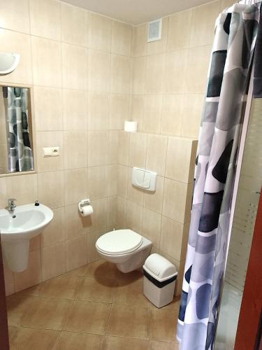 a bathroom with a toilet and a sink at Zamkowa in Puck