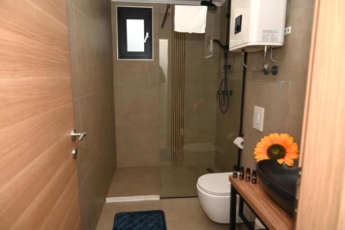 a bathroom with a shower and a toilet and a sink at Elysium3 in Banja Luka