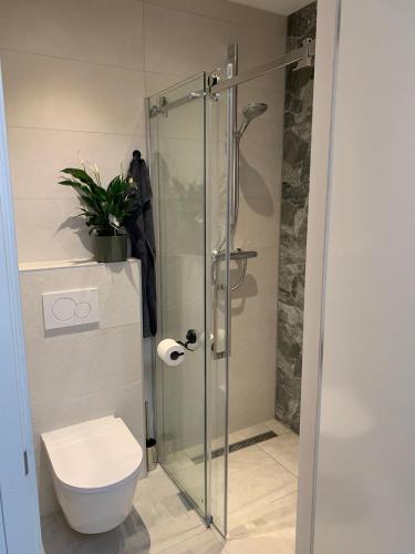 a bathroom with a glass shower with a toilet at Mouton Beach Lodge in Petten