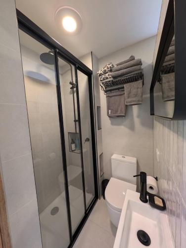 a bathroom with a shower and a toilet and a sink at Rivulet Nook in West Hobart