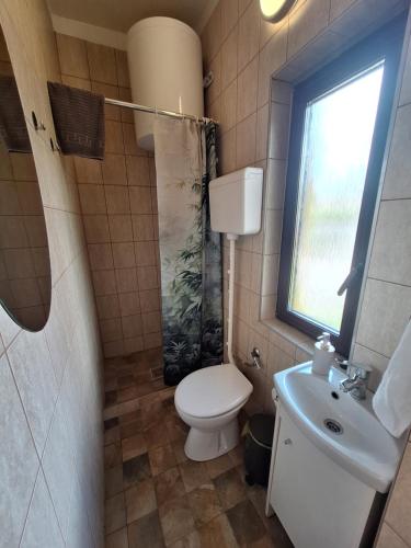 a bathroom with a toilet and a sink and a window at Bambusz76 in Zamárdi