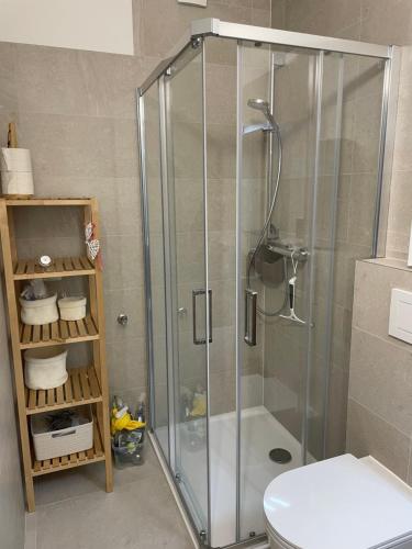 a shower stall in a bathroom with a toilet at Apartmán Grimming in Tauplitz