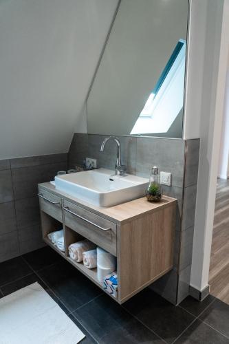 a bathroom with a sink and a mirror at Altstadthotel Wilde Rose in Eppingen