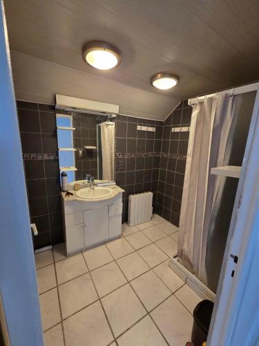 a bathroom with a sink and a shower at La liberté des trois petits cochons avec spa in Lalizolle