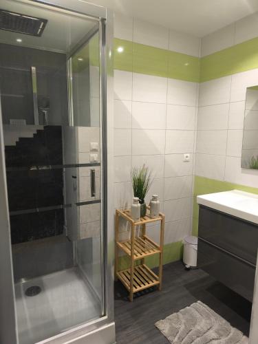 a bathroom with a shower and a sink at La maison de la Loue in Lods