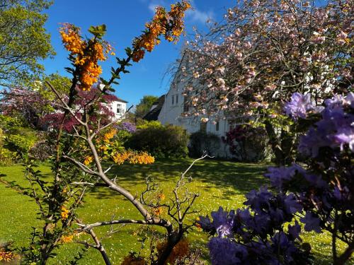 a garden with flowers in front of a house at CarMichael in Edinburgh