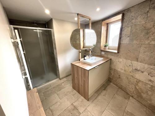 a bathroom with a shower and a sink and a mirror at Le Barral in Voiron