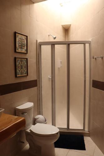a bathroom with a shower with a toilet and a sink at Casa La Vikina in Guanajuato