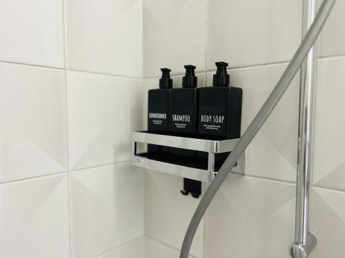 a bathroom with two bottles on a shelf on the wall at Dock and Dwell City Appartment in Bern