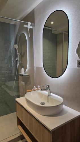 a bathroom with a sink and a mirror at Penzión Jánsky kaštieľ Bohumírovský in Liptovský Ján
