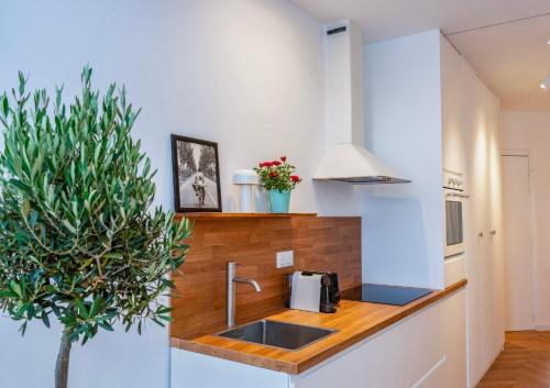 Cozy Paris Flat near Saint-Germain & Luxembourg Gardens