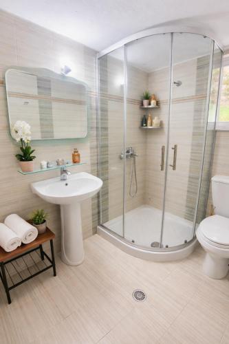a bathroom with a shower and a sink and a toilet at Cozy Home in Delvinë