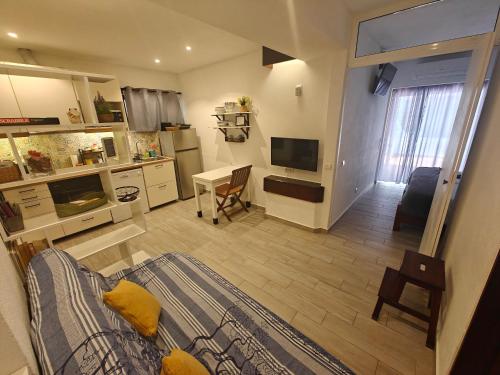 Apartamento Arvore da Vida