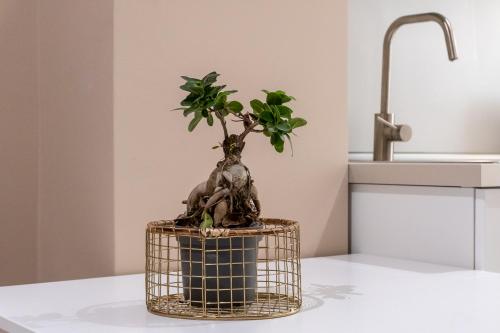 a plant in a basket on a counter next to a sink at Marchese 25 Apartments in Bari