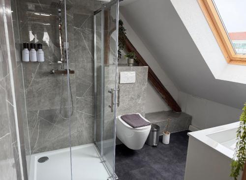 a bathroom with a shower and a toilet at Royans Ferienwohnung in Günzburg