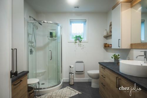 a bathroom with a shower and a toilet and a sink at gîte chez julio in Sainte-Flavie