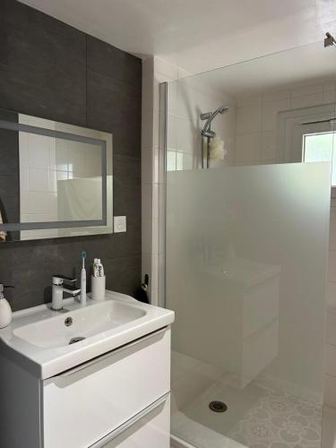 a white bathroom with a sink and a shower at Maison de jacque in Mimizan