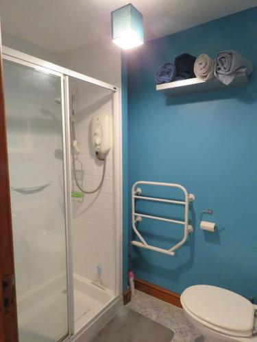a blue bathroom with a shower and a toilet at Motcombe Cottage in Hatherleigh
