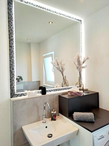 a bathroom with a sink and a large mirror at Penthouse Vue Panoramique in Mechernich
