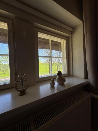 two ducks sitting on a window sill in a room at Reet-Denkmal am Elbstrand in Stade