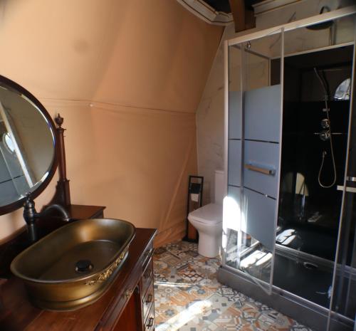 a bathroom with a sink and a shower at Nuit Insolite dôme Reinette tout confort in Châtenois