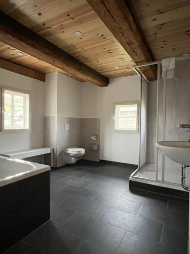 a bathroom with a tub and a toilet and a sink at Vierseithof "Waitzdorfer Hof" in Hohnstein