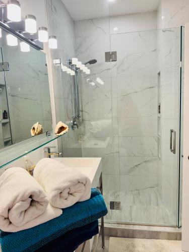 a bathroom with a shower and a sink and a mirror at Lakeview Bed and Breakfast in Kelowna