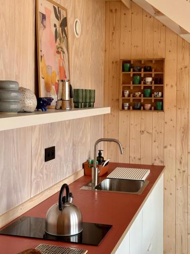 a kitchen with a sink and a counter at Winnica Przybysławice in Przybysławice