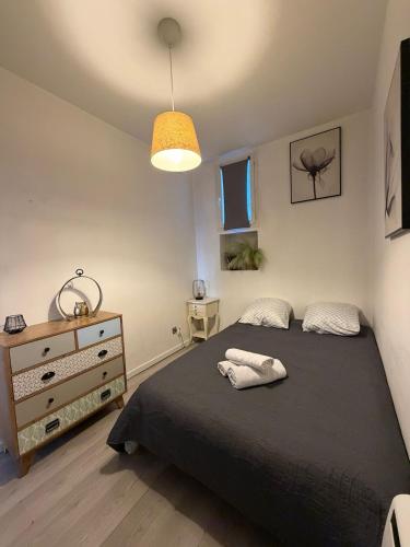 Charmant Cocon au cœur de Dijon