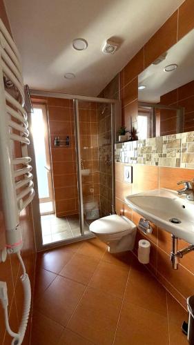 a bathroom with a toilet and a sink and a shower at Kopa9 in Palanga