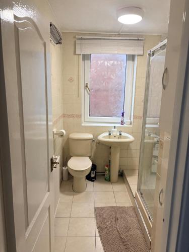 a bathroom with a toilet and a sink and a window at Sycamore haven in Spinney Hill