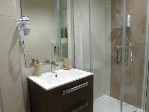 a bathroom with a sink and a shower at Appartement L'Ill au Sable in Strasbourg