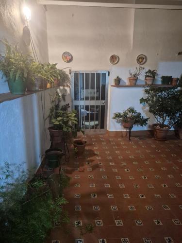 Apartamento San Benito D