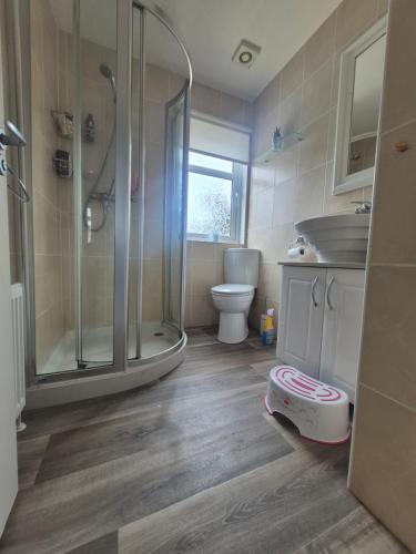 a bathroom with a shower and a toilet at P1 The Warren Abersoch in Llanbedrog