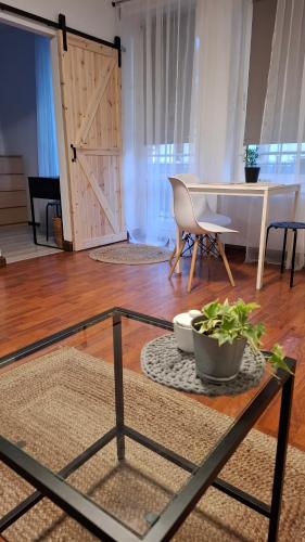 Apartament Radosna