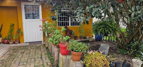 a house with potted plants in front of a door at Aparta estudio campestre in Chía