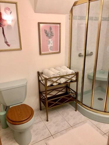a bathroom with a toilet and a shower at Waterfront Round House View in Oakdale