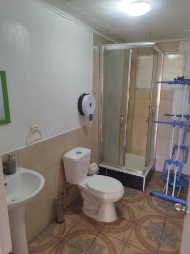 a bathroom with a toilet and a sink and a shower at Hospedaje LARRAIN in Valparaíso