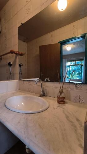 a bathroom counter with a sink and a mirror at Pousada Holística Alto do Sol in Nova Friburgo