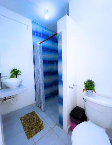 a bathroom with a shower and a toilet and a sink at Villa X'Cocay in Valladolid