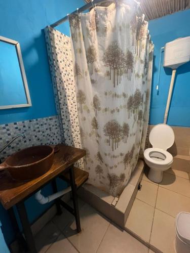a bathroom with a toilet and a shower curtain at El Farolo in Tilcara