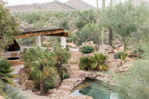 a garden with a pool of water and trees at The JTH Tucson in Tucson