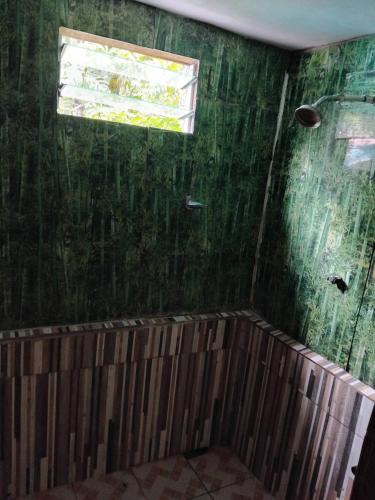 a bathroom with a green wall and a window at Phantom rock view homestay in Namara
